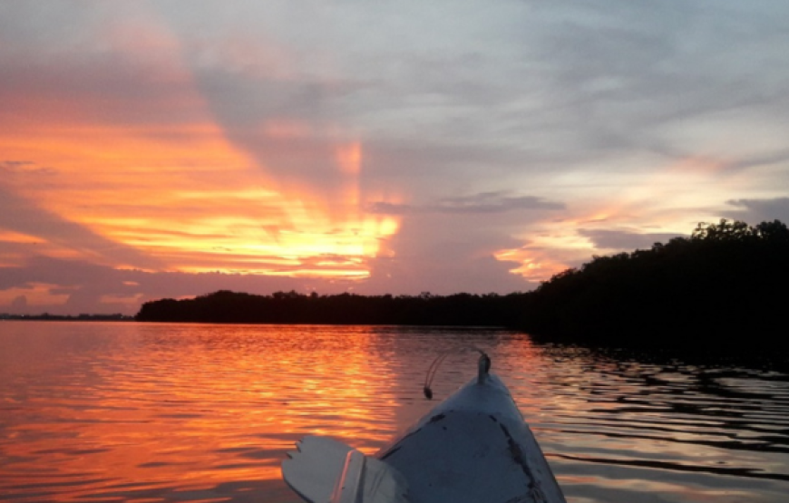 Kayaking Sunset Tour